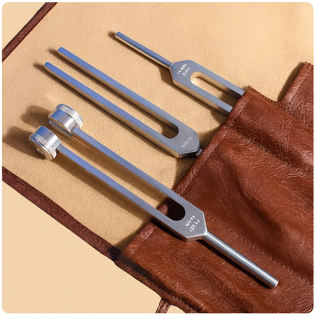 Frequana Healing Instrument Set